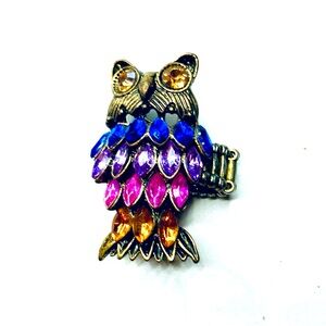 Colorful Owl Statement Ring